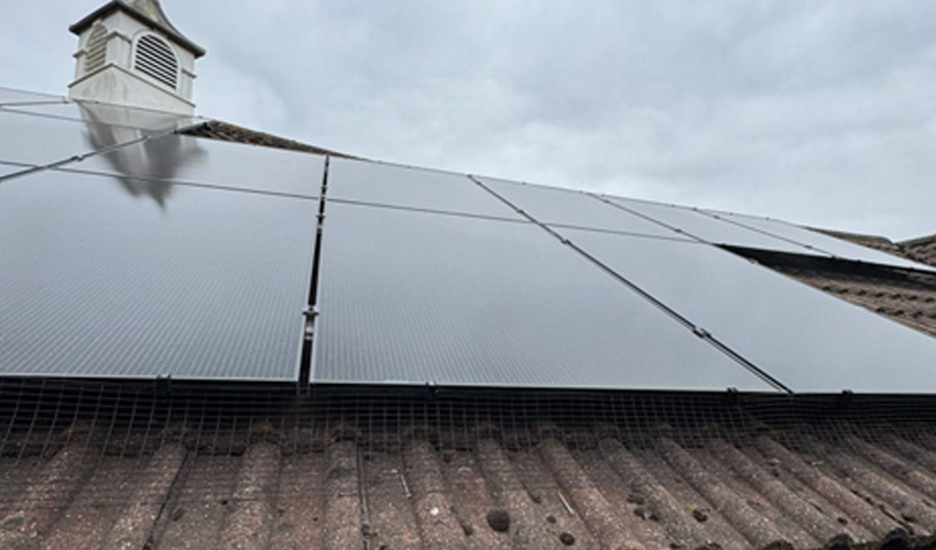 Bird protection under solar panels.